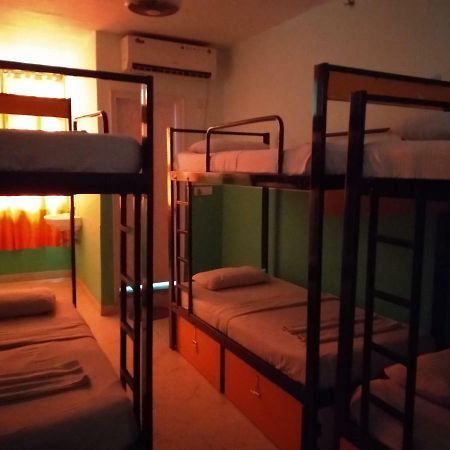Bunk Hostel Delhi New Delhi Exterior photo